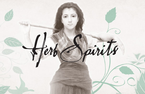 Herb Spirits