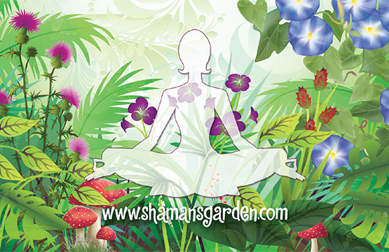 Shamans Garden